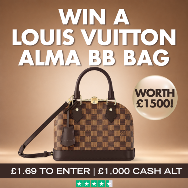 LV Bag